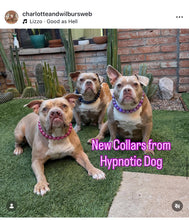 Load image into Gallery viewer, Neptune Blue Bead Collar