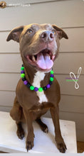 Load image into Gallery viewer, Monster Bash Bead Collar