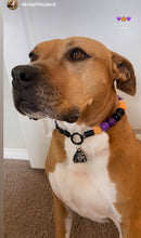 Load image into Gallery viewer, Witching Hour Halloween Bead Collar