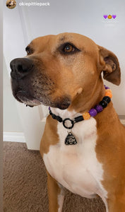 Witching Hour Halloween Bead Collar