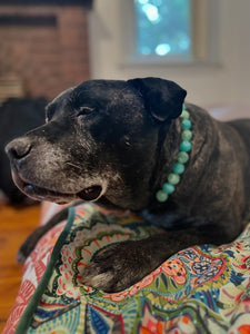 Sea Glass Acrylic Bead Collar