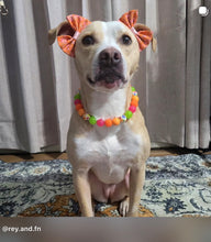 Load image into Gallery viewer, Groovy Daisies Bead Collar