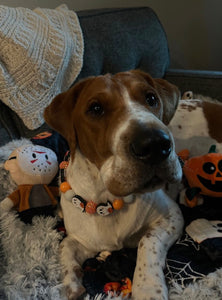 Boo 👻 Halloween Glow Bead Collar