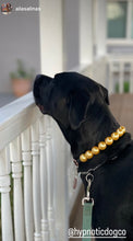 Load image into Gallery viewer, Chunky Golden Yellow Pearls Acrylic Bead Collar