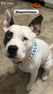 Pastel Rainbow Acrylic Bead Collar