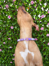 Load image into Gallery viewer, Purple Daisies Glam 🌼 Silicone Bead Collar