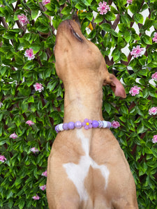 Purple Daisies Glam 🌼 Silicone Bead Collar
