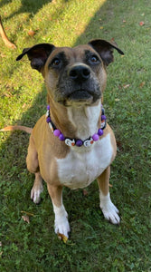 Purple Boo 👻 Halloween Glow Bead Collar