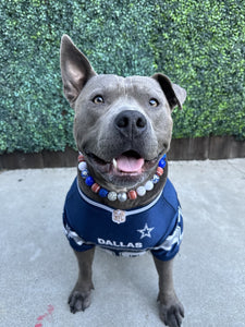 🏈 Football Team Colors Bead Collar