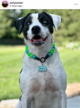 Load image into Gallery viewer, Neon Tropic Glow Acrylic Bead Collar