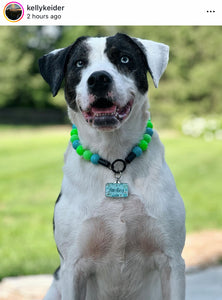 Neon Tropic Glow Acrylic Bead Collar
