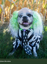 Load image into Gallery viewer, Midnight Cauldron Halloween Glow Bead Collar