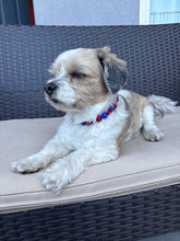 Load image into Gallery viewer, Star Spangled Glam MINI [Small Dog/Cat Bead Collar]