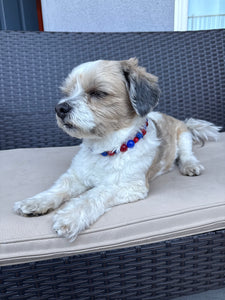 Star Spangled Glam MINI [Small Dog/Cat Bead Collar]