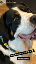 Load image into Gallery viewer, Green Bay Packers NFL Inspired 🏈 Bead Collar