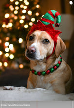 Load image into Gallery viewer, Christmas Frost Bead Collar