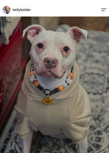 Load image into Gallery viewer, Orange Boo 👻 Halloween Glow Bead Collar