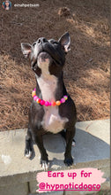 Load image into Gallery viewer, Sunset Tie Dye Glow Bead Collar