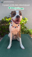 Load image into Gallery viewer, Vintage Americana Bead Collar