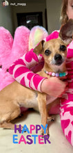 Load image into Gallery viewer, Bubblegum MINI Acrylic [Small Dog/Cat Bead Collar]