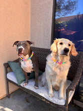 Load image into Gallery viewer, PERSONALIZED Candy Sweetheart Bead Collar
