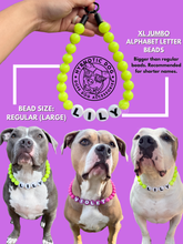 Load image into Gallery viewer, PERSONALIZED Pastel Rainbow Acrylic + Letters Bead Collar