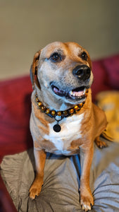 Bronzed Gold Resin Bead Collar