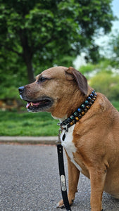 Northern Lights Resin Bead Collar