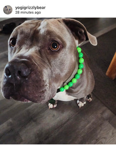 Neon Green Acrylic Bead Collar