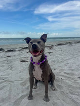 Load image into Gallery viewer, Purple Haze Bead Collar