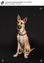 Load image into Gallery viewer, Christmas Frost Bead Collar