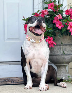 🌼 Vintage Daisies 🌼 Silicone Bead Collar