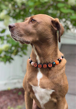 Load image into Gallery viewer, PERSONALIZED Pumpkin Spice Halloween Bead Collar