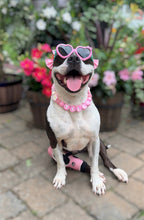 Load image into Gallery viewer, Pink Luau 🌺 Bead Collar