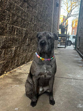 Load image into Gallery viewer, PERSONALIZED Candy Sweetheart Bead Collar