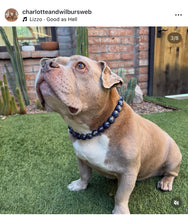Load image into Gallery viewer, Neptune Blue Bead Collar