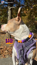 Load image into Gallery viewer, Witching Hour Halloween Bead Collar