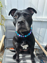 Load image into Gallery viewer, Cookie Monster Bead Collar