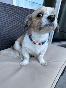 Firecracker MINI [Small Dog/Cat Bead Collar]