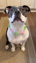 Load image into Gallery viewer, Watermelon Sugar Bead Collar