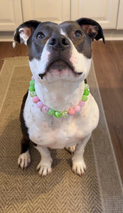 Watermelon Sugar Bead Collar