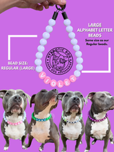 Load image into Gallery viewer, PERSONALIZED Pastel Rainbow Acrylic + Letters Bead Collar