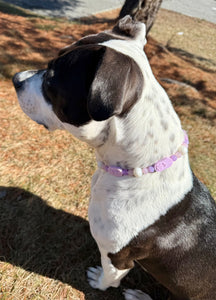 Lilac Rose Bead Collar