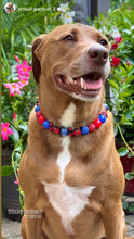Load image into Gallery viewer, Spiderman Bead Collar