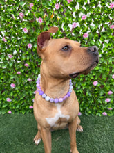 Load image into Gallery viewer, Purple Daisies Glam 🌼 Silicone Bead Collar