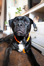 Load image into Gallery viewer, Orange Ombre Acrylic Bead Collar