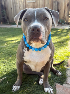 Blue Ombre Silicone Bead Collar