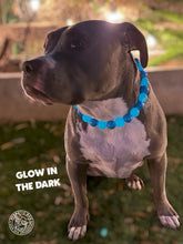 Load image into Gallery viewer, Blue Glow in the Dark Bead Collar