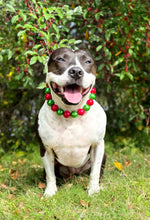 Load image into Gallery viewer, Chunky Christmas Pearls Acrylic Bead Collar