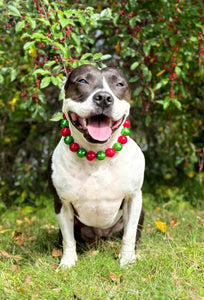 Chunky Christmas Pearls Acrylic Bead Collar